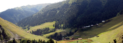 Jvarboseli