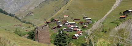 Jvarboseli